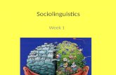 UQROO Sociolinguistics terms1