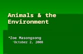 Animals & the Environment