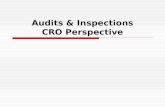 Cro perspectives