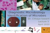 Diagnostic microbiology - Traditional and Modern Approach