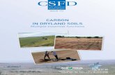 Carbon in dryland soils. Multiple essential functions
