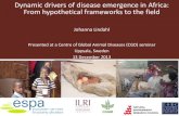 Dynamic drivers of disease emergence in Africa: From hypothetical frameworks to the field