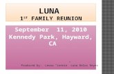 An introduction of the luna family