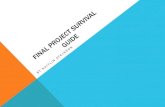 Final project survival guide