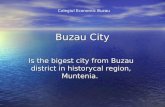 Buzau  our town for OLE project