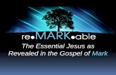 What does it m ean to follow jesus     mark 8- 27-38 - june 30, 2013