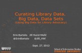 Curating Library Data, Big Data, Data Sets