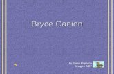 Bryce Canion