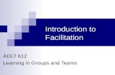 Introduction to facilitative skills schwarz adlt 612 spring 2012