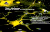 Neuroscience research brochure