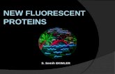 New Fluorescent Proteins   S. Semih Ekimler(3)