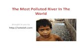 The Most Polluted River In The World