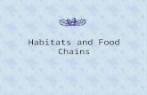 Habitats and foodchains