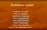 Rainbow trout!   jimmy