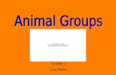 Animal Groups Ppt