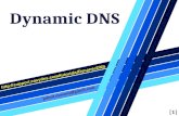 Linux14 Dynamic DNS