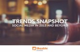 Social Media Trends Snapshot 2013