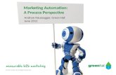Marketing Automation: A Process Perspective