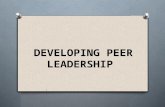 Developing peer leadership