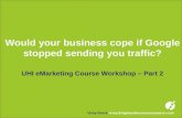 Would your business cope if Google stopped sending you traffic?