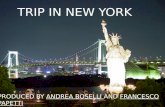 trip in new york by  Bose e Pape
