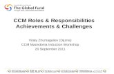CCM Roles & Responsibilities; Achievements & Challenges
