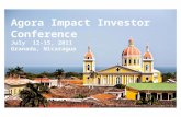 Agora Impact Investor Conference, July 2011