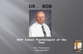 Dr. Bob Bayuk -  A Brief Career Retrospective