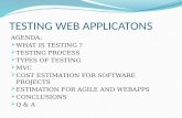 Testing web application
