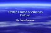 United States Of America Culture