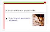 X  inactivation in mammals