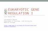 Eukaryotic gene regulation I 2013