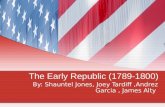 The Early political parties (1789 1800)