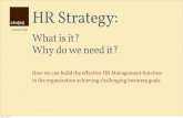 HR Strategy: What is it? Why do we need it?