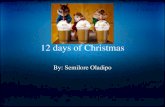 12 days of_christma