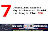7 compelling reasons why businesses should use Google Plus NOW