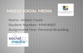 Mn219 social media presentation assignment 1