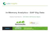 In-Memory Analytics - SAP Big Data - Analytics Tools Selection  - SAP HANA & SAP Business Objects