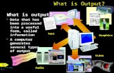 14b. Computer Systems   Extra Output