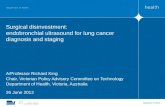 Disinvestment. Surgical disinvestment: endobronchial ultrasound for lung cancer diagnosis and staging