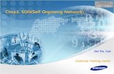 SON,self optimized network