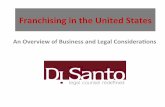 Doing Business in the U.S. - Franchising Requirements and Litigation/E-Discovery Considerations