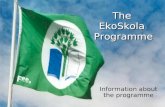 Es   Info About The Programme