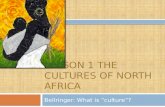 Lesson 1 The Culture of North Africa