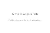 A trip to angora falls
