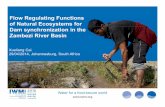 Flow regulating functions of natural ecosystems for Dam synchronization in the Zambezi River Basin