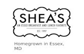 Shea's Restaurant Advertising Campaign 2011