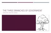3 Branches of Government by Annabell