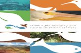 National fish, wildlife, and plants climate adaptation strategy