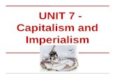 Unit 7 - Capitalism and Imperialism -  4º bil